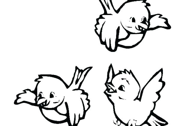 640x420 Swallow Bird Coloring Pages