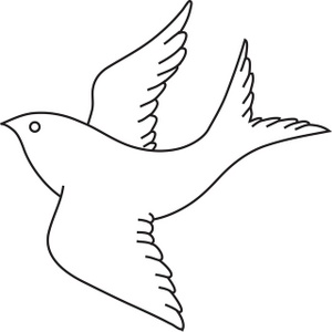 300x300 Bird Outline Drawing