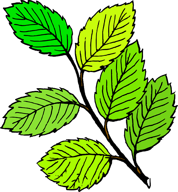 595x640 Collection Of Free Swamp Drawing Clipart Download On Ui Ex