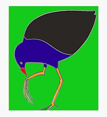 210x230 Swamp Hen Drawing Wall Art Redbubble