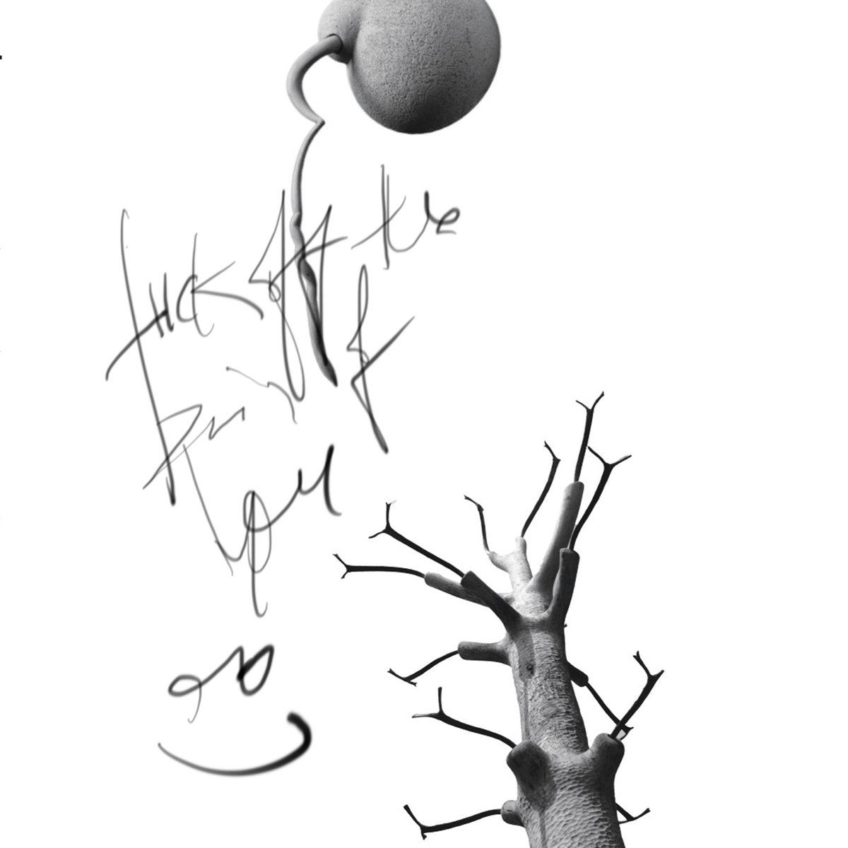 1200x1200 Swamp And Stick Ota