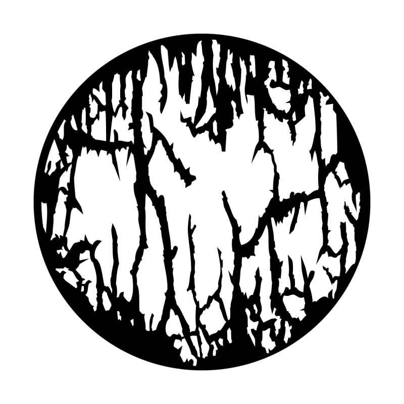 800x800 Apollo Spooky Swamp Gobo Associatedtheatrical