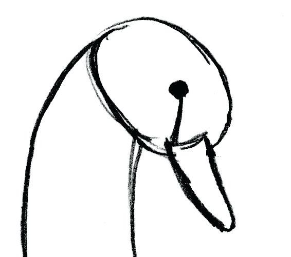 566x501 Drawing Of Swan For The Top Part Of The Bump Draw Half Of A Heart