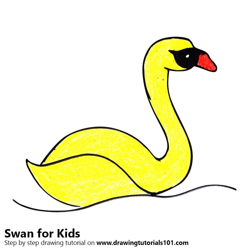 800x800 Learn How To Draw A Swan For Kids
