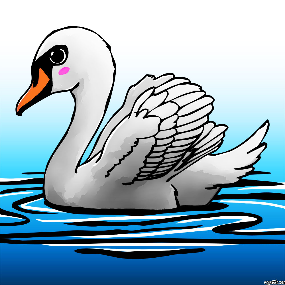 1000x1000 Cartoon Swan Drawing In Steps With Photoshop