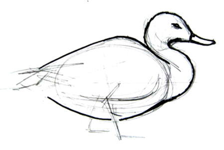 449x300 How To Draw A Duck