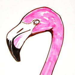 250x250 How To Draw A Swan