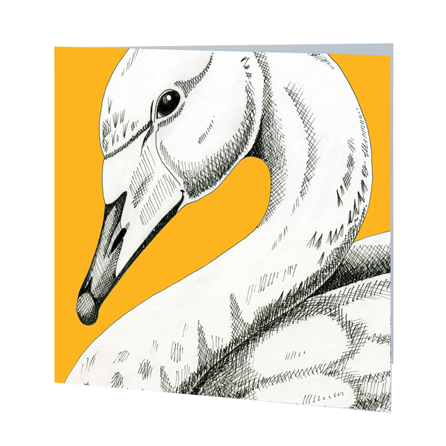 900x900 Whooper Swan Greetings Card