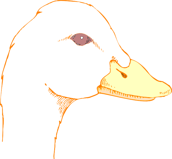 600x553 Duck Head Drawing Clip Art