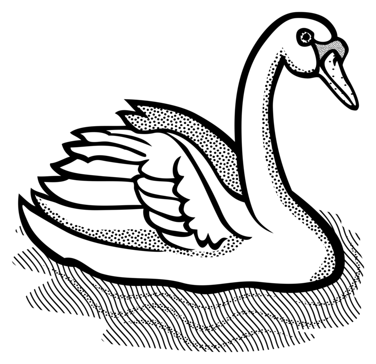 774x750 Collection Of Free Swan Drawing Outline Download On Ui Ex