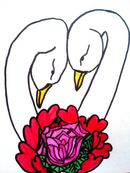 450x600 Swan Heart Drawings Fine Art America