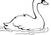 Swan Heart Drawing | Free download on ClipArtMag