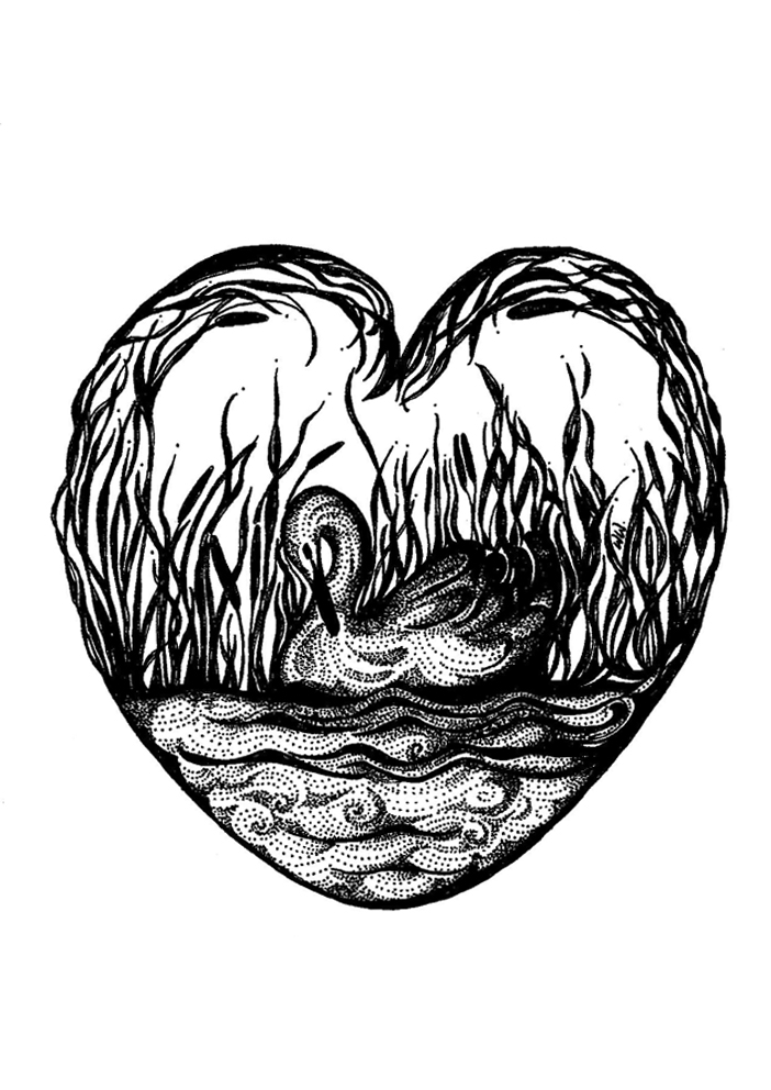 702x992 Swan Heart