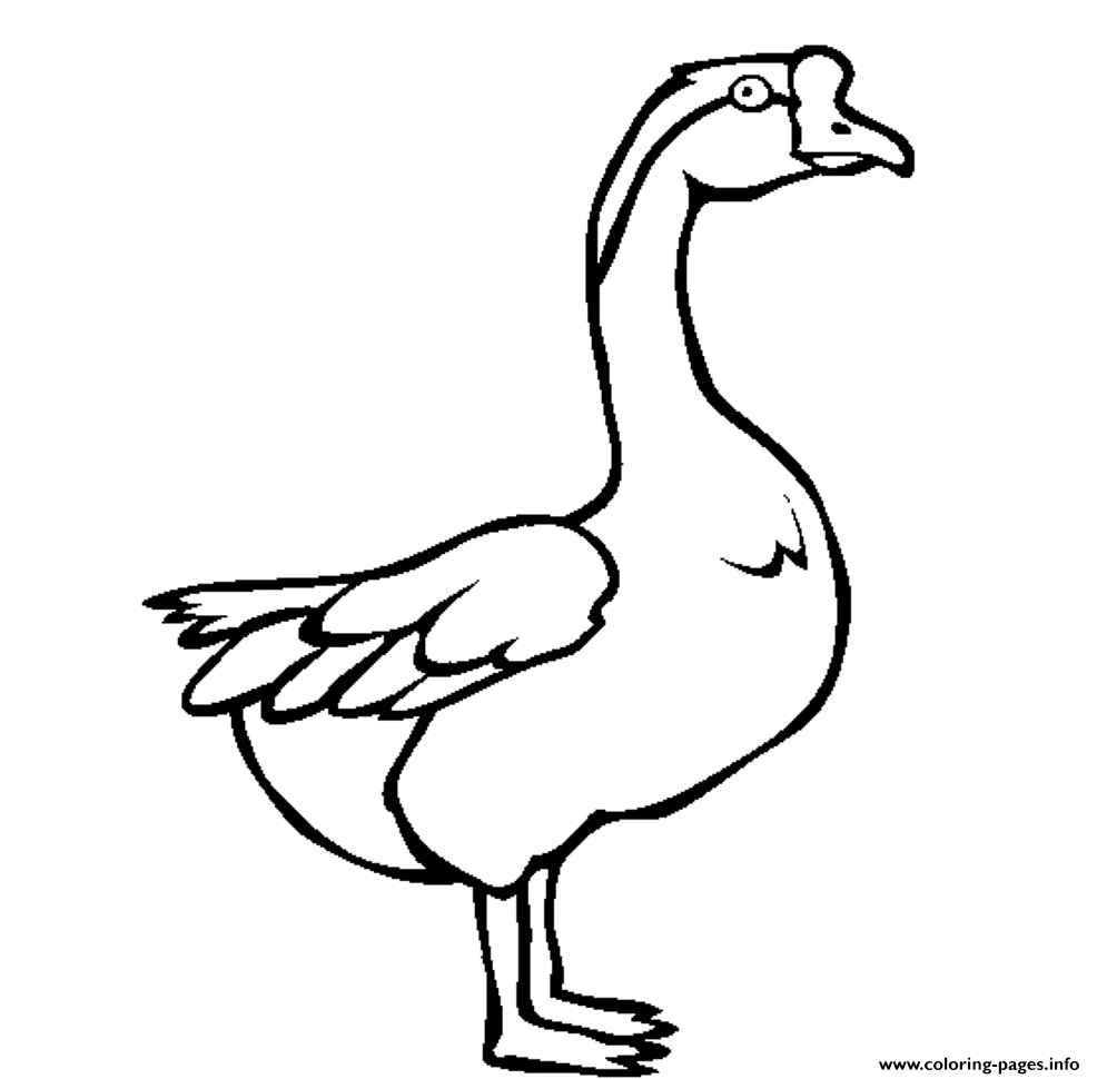 986x970 Swan Drawing Free Download