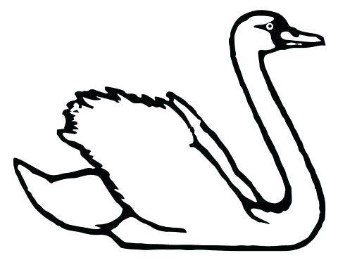 480x397 Swan Coloring Pages Trumpeter Swan Coloring