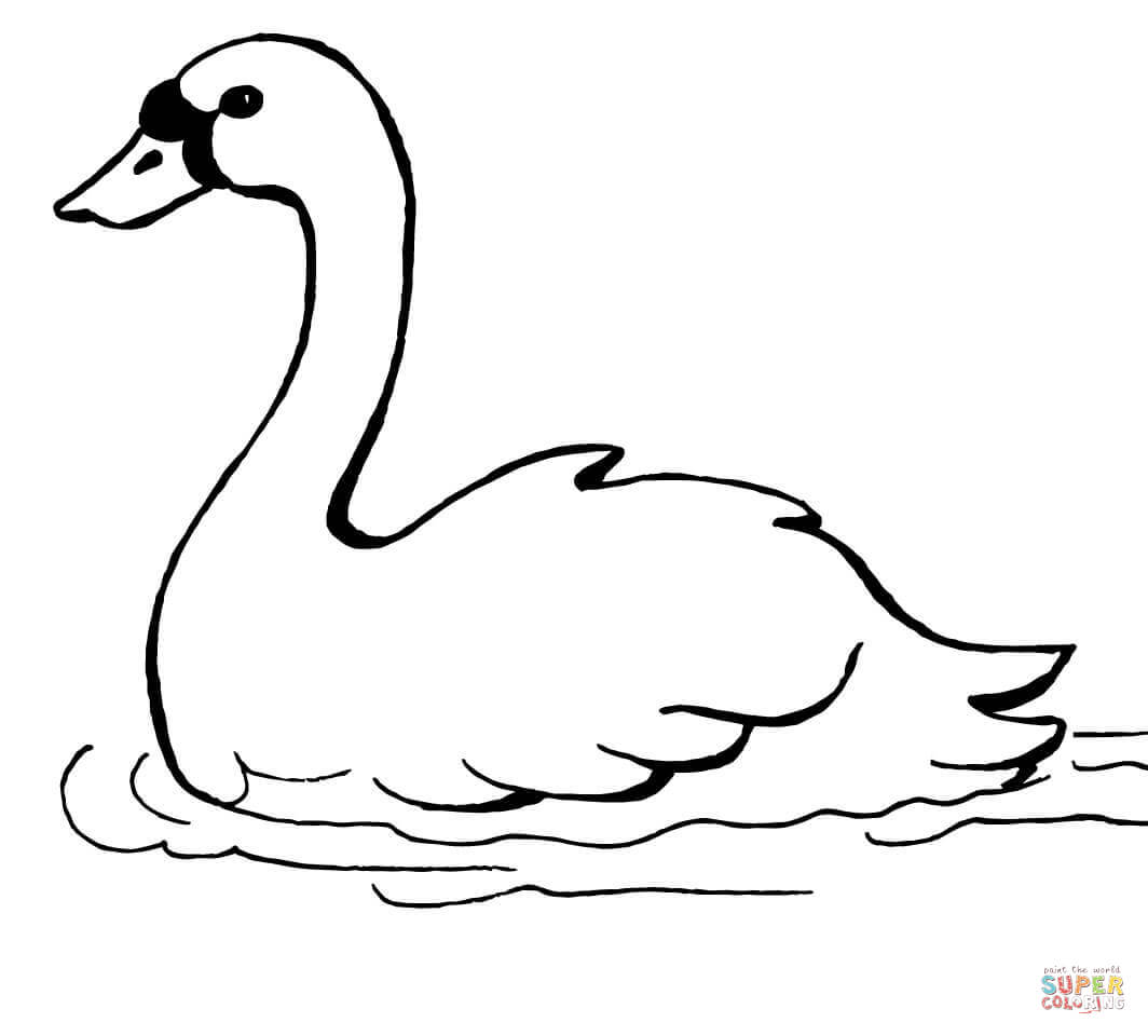 Swan Line Drawing