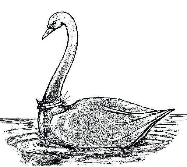 614x548 How To Draw A Swan Heart Home Improvement Shows
