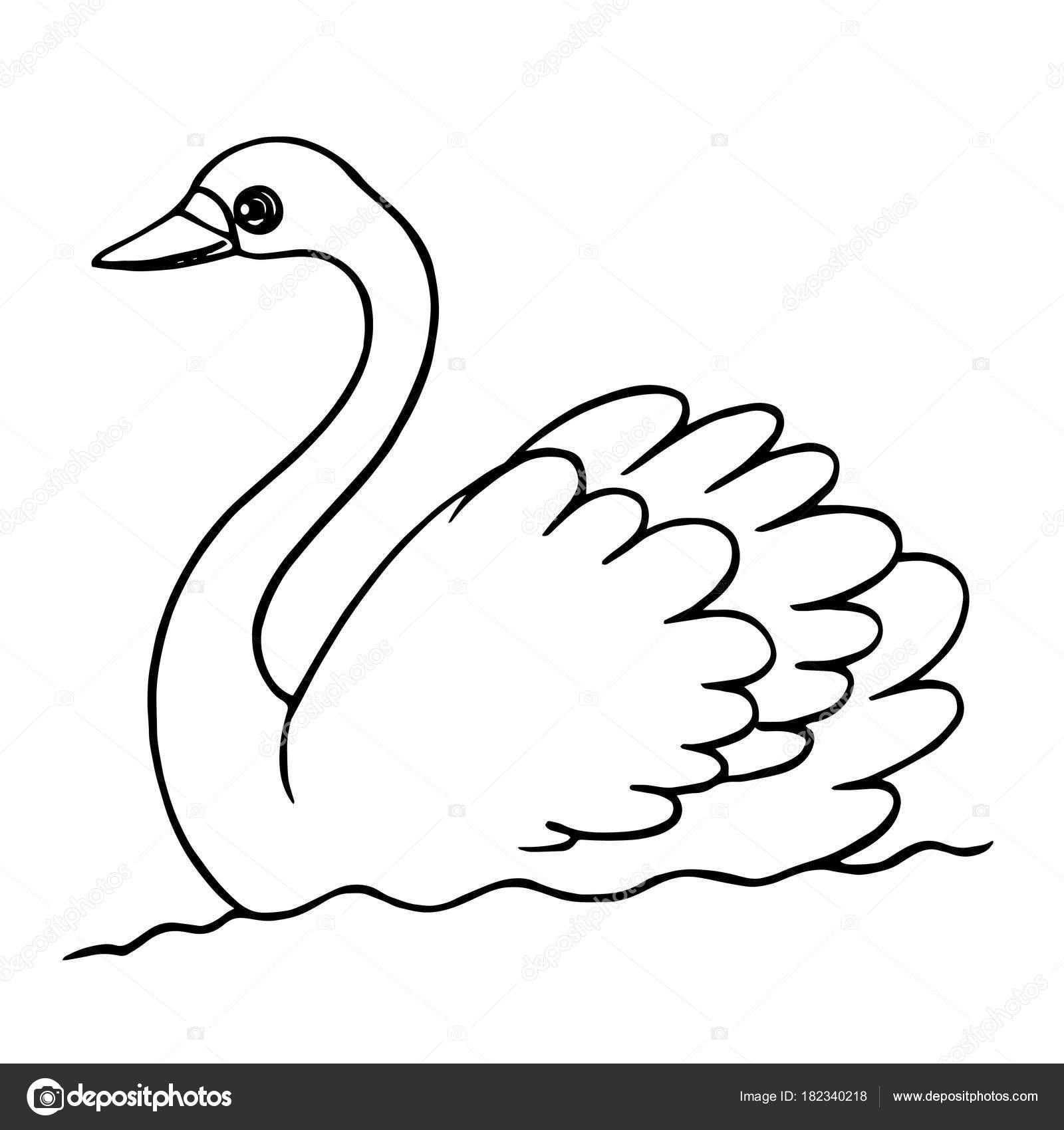 1600x1700 Swan Drawing Cartoon For Free Download