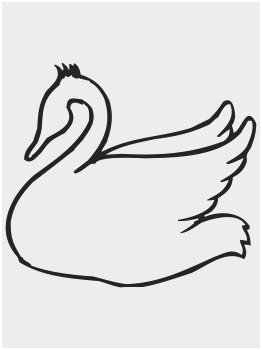 262x350 swan coloring pages new how to draw swans drawing tutorials
