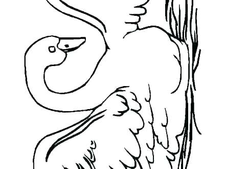 440x330 swan colouring pages swan coloring pages related post swan drawing