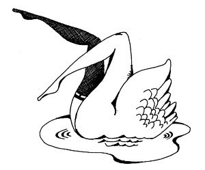 300x249 Swan Drawing