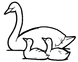 250x199 Swan Clipart Cygnet For Free Download And Use In Presentations