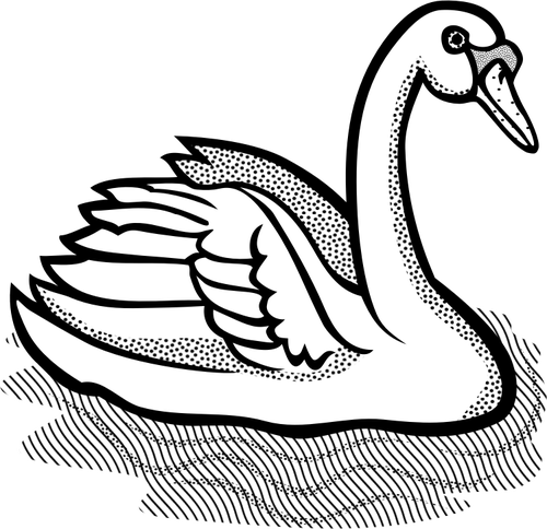 500x484 Swan With Part Spotty Feathers In Water Vector Image Public