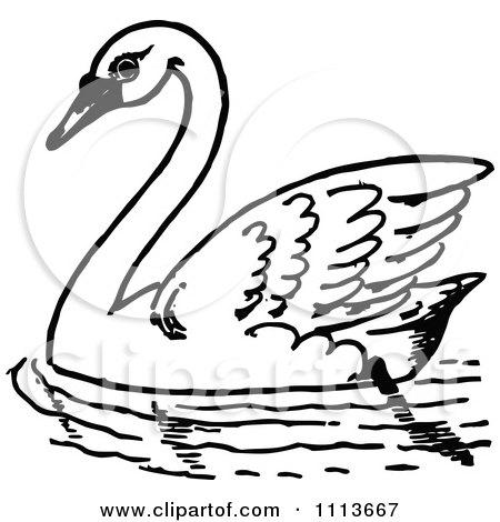 450x470 Clipart Vintage Black And White Swimming Swan
