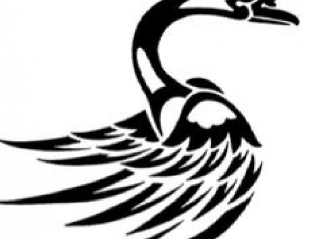 640x480 Free Drawn Swan, Download Free Clip Art