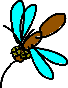 269x350 Swat The Mosquitos Tynker