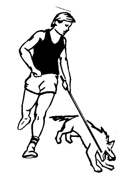 456x651 K Swat Rod! Dog Bite Protection For Outdoor People