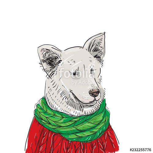 500x500 white dog in a christmas red knitted sweater and a green scarf