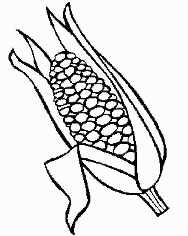 600x752 Sweet Corn Food Coloring Pages Bulk Color