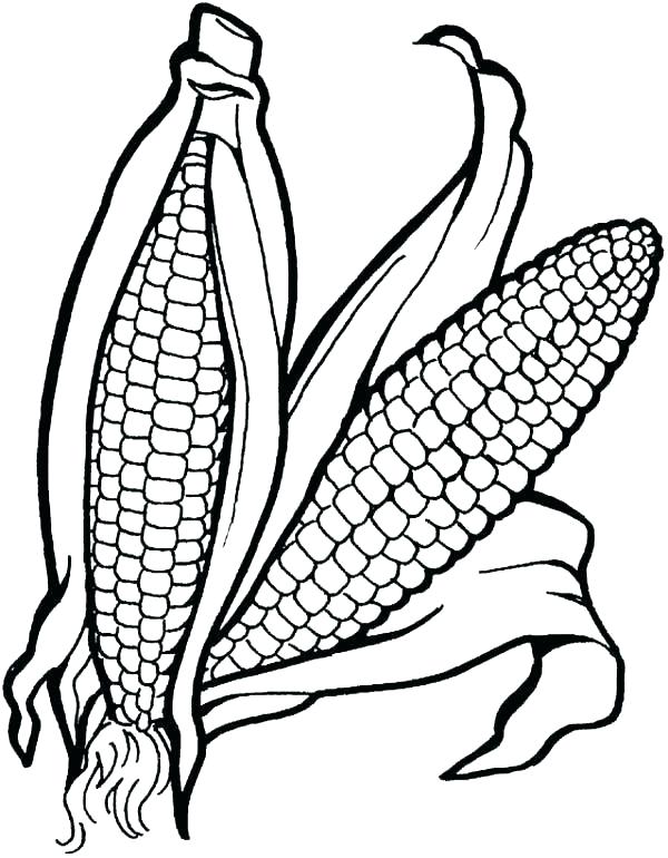 600x770 Corn For Coloring Running