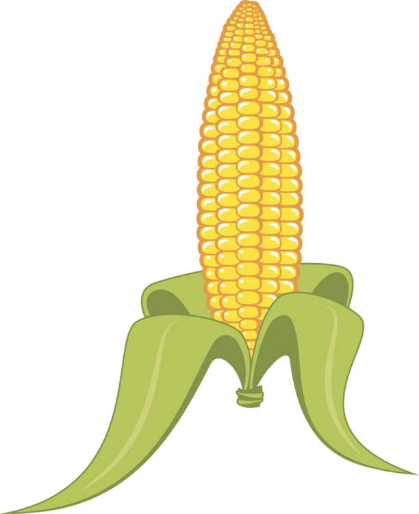 612x750 Collection Of Free Wheat Drawing Maize Download On Ui Ex