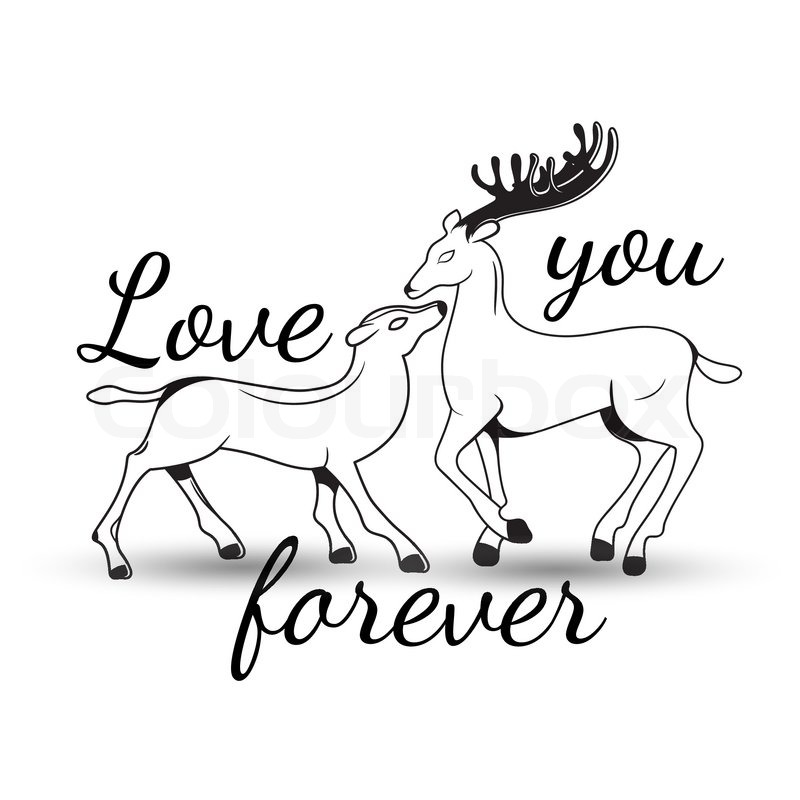 800x800 Sweet Couple In Love Deer With Stock Vector Colourbox