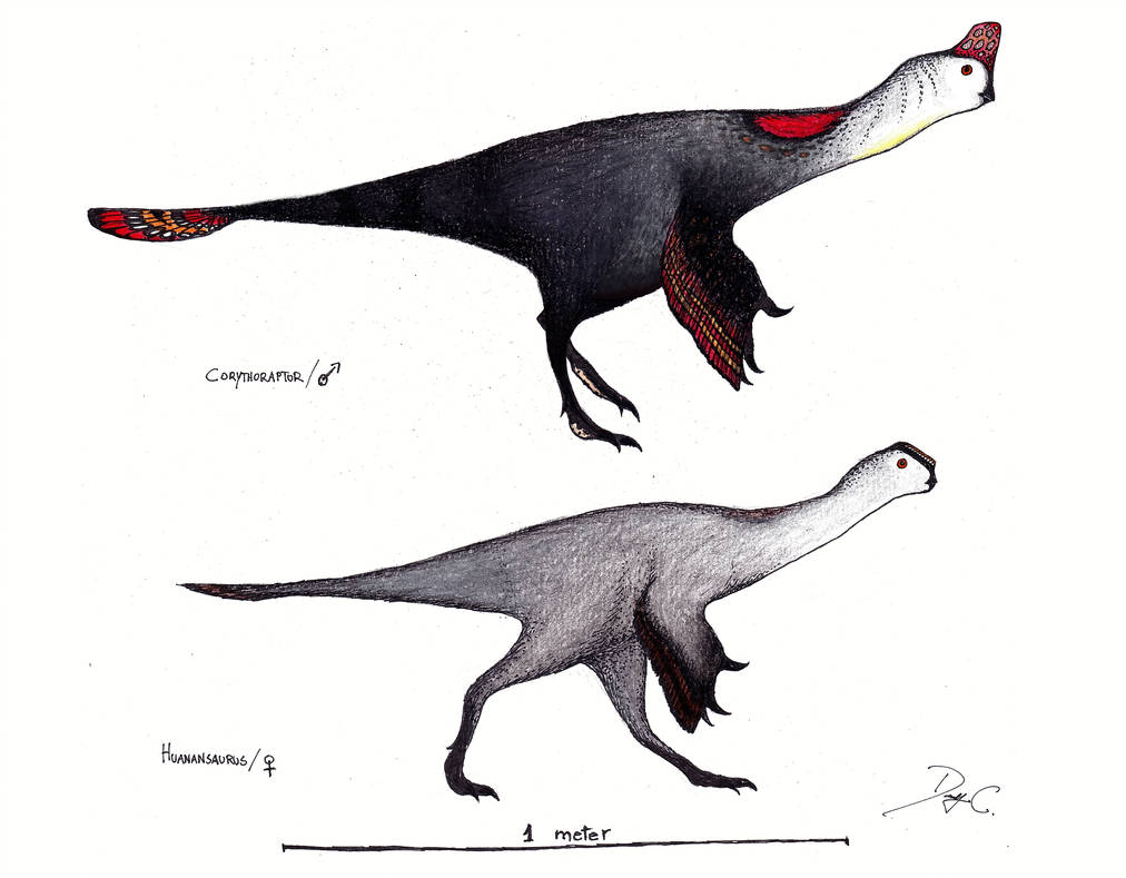 1012x789 A Sweet Couple From Nanxiong