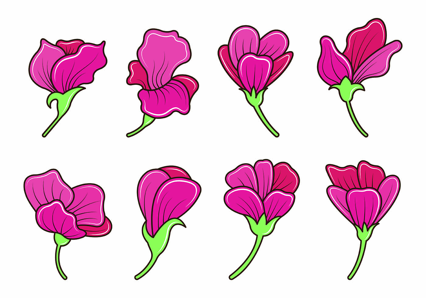 1400x980 Set Of Sweet Pea Flower Vector