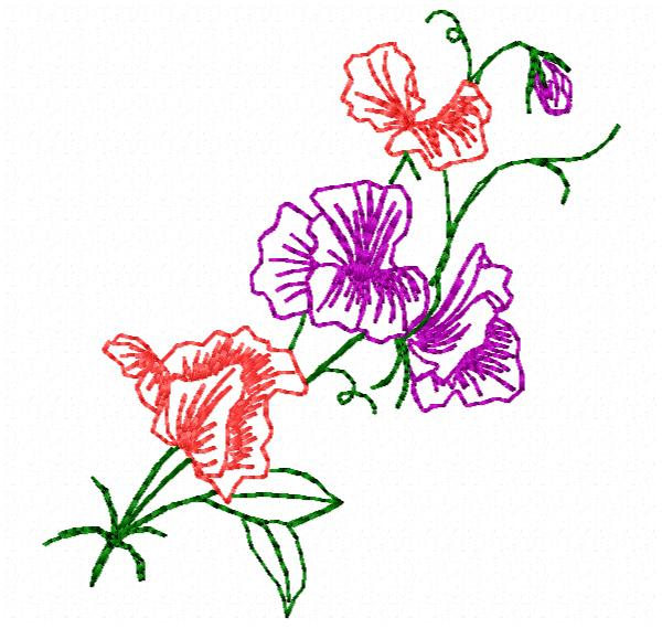 600x570 Sweet Pea Flower Embroidery Design Instant Download Etsy