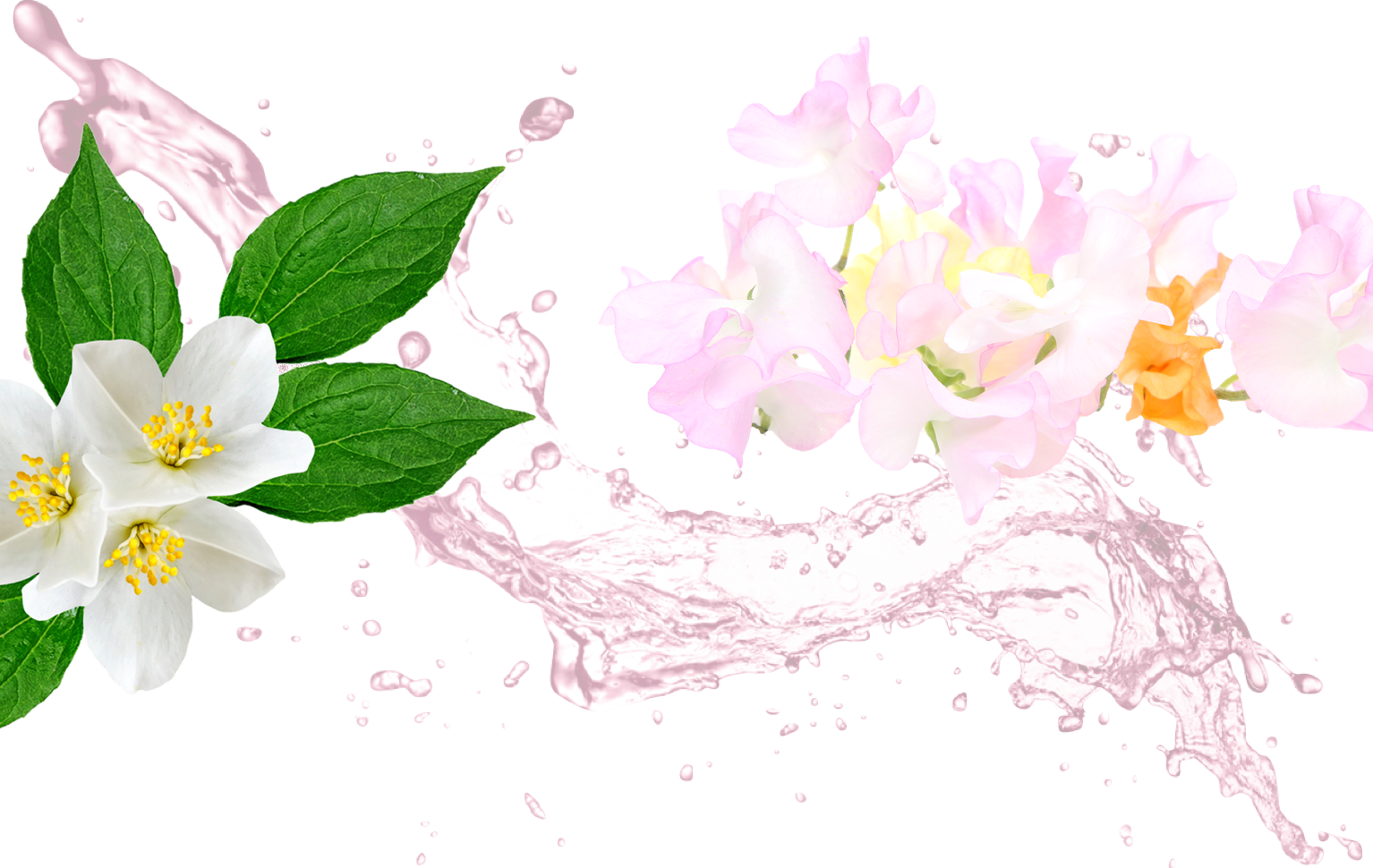 1534x970 Sweet Pea Zoflora Fragrant Concentrated Disinfectant Kills