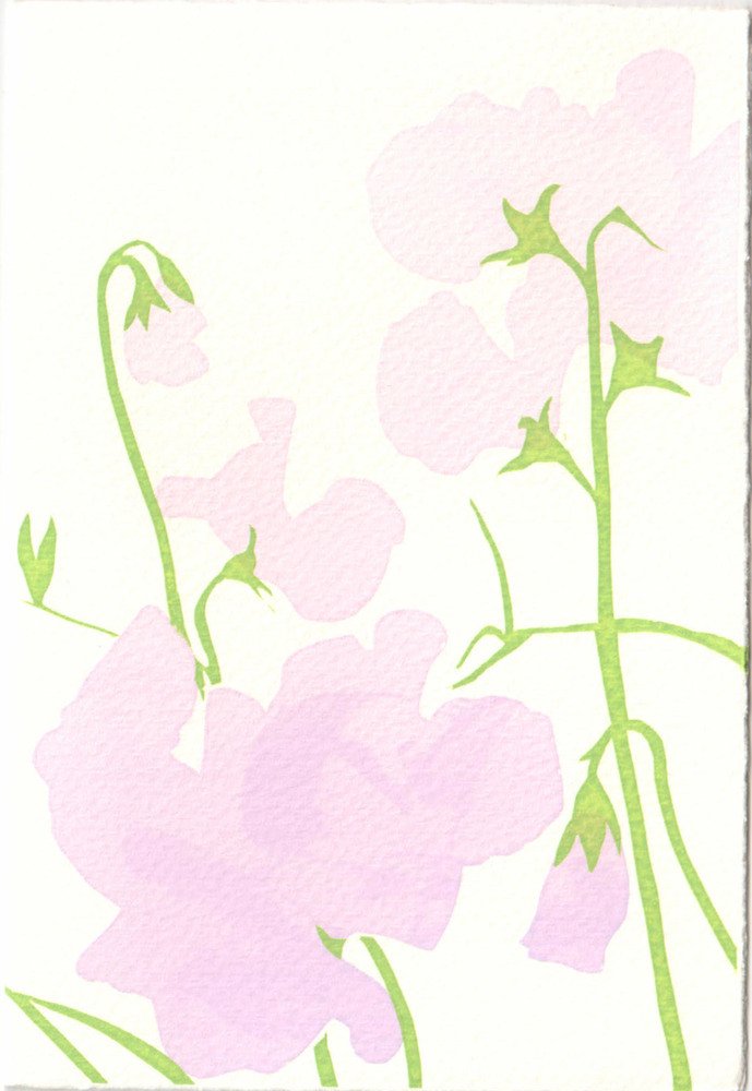 689x1000 Sweet Peas Shop Jill