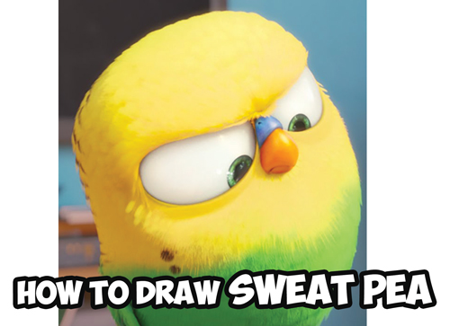 500x363 How To Draw Sweet Pea The Bird From The Secret Life Of Pets