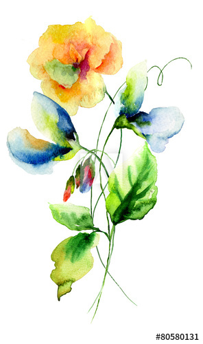 296x500 Sweet Pea And Poppy Flowers