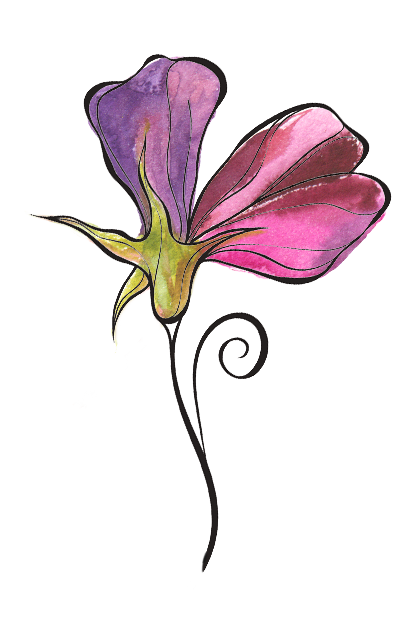 416x624 Sweetpea Macfie Independent Florist Bakewell Buxton Matlock