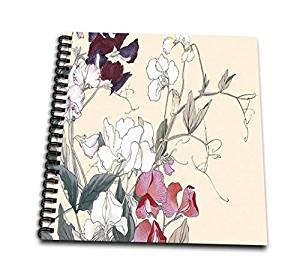 300x273 Db Sweet Peas In Red And White And Deep Red