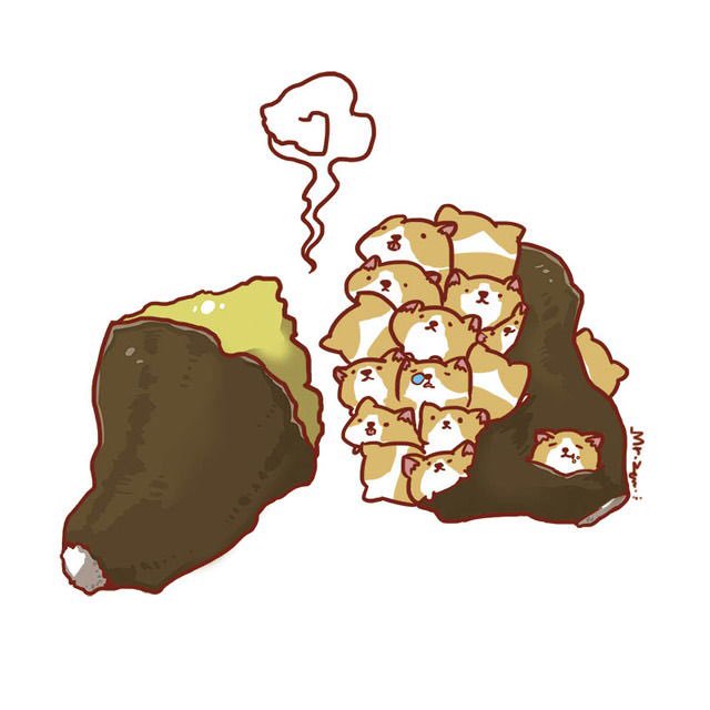 640x640 On Twitter Corgi Baked Sweet Potato