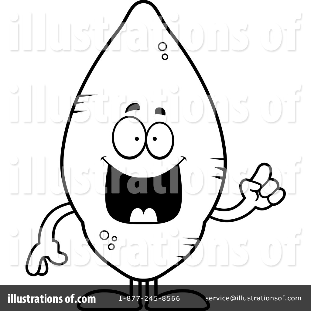 1024x1024 Sweet Potato Clipart