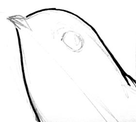 280x250 How To Draw A Swift Step