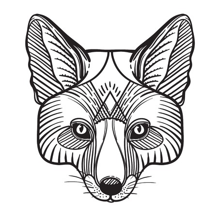 450x450 Hand Drawn Fox With Ethnic Floral Doodle Pattern Coloring
