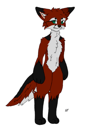 311x440 Hello I'm New